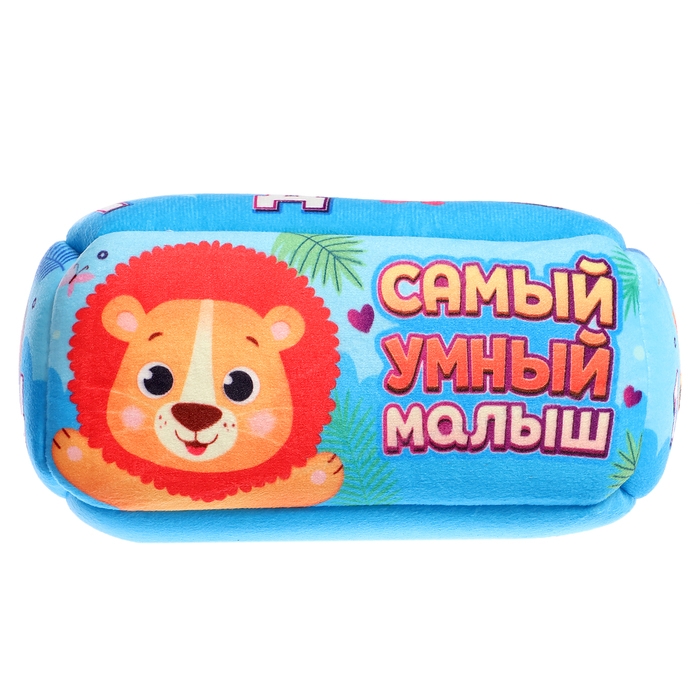 Сортер &laquo;Самый умный малыш&raquo;