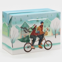 Пакет-коробка &laquo;Новый год вместе&raquo;, 28 х 20 х 13 см, Новый год