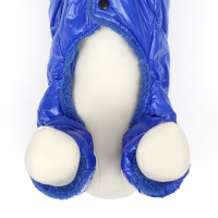 Комбинезон "Блеск", размер L (ДС 34 см, ОГ 47, ОШ 32 см, до 10 кг), синий Комбинезон "Блеск", размер L (ДС 34 см, ОГ 47, ОШ 32 см, до 10 кг), синий