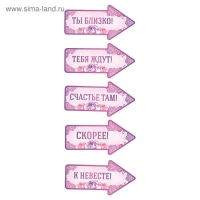 Набор для проведения свадебного выкупа &laquo;Между нами любовь&raquo;