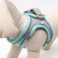 Комплект с мягкой шлейкой, быстросъемный, M, поводок 150 х 1,5 см, ОШ 38-44 см, ОГ 44-50 см, бирюз