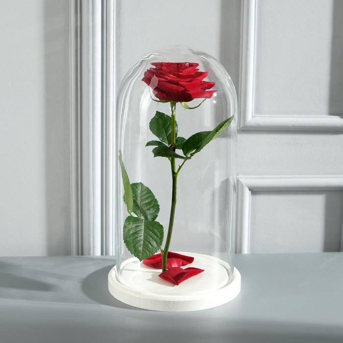 Стеклянный купол-клош на деревянной подставке Стеклянный купол-клош на деревянной подставке "Венсан - 1", 30х15 см, белый