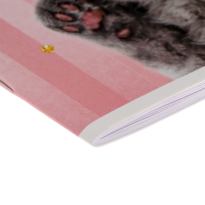 Альбом для рисования А4, 40 листов на скрепке CАt lАdy, обложка мелованный картон, блок 100 г/м&sup2;