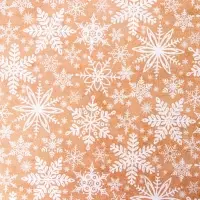 Бумага упаковочная новогодняя "Совушки", глянец, двусторонняя, 80 г/м2 , 70 х 100 см.