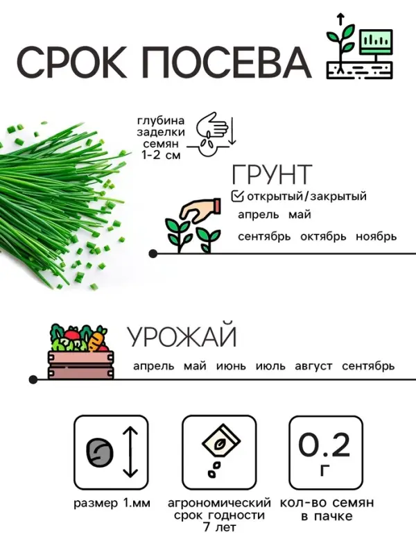 Семена Лук шнитт "Чемал", 0,2 г