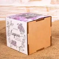 Набор для выращивания &laquo;Экокуб Lite&raquo;, сирень