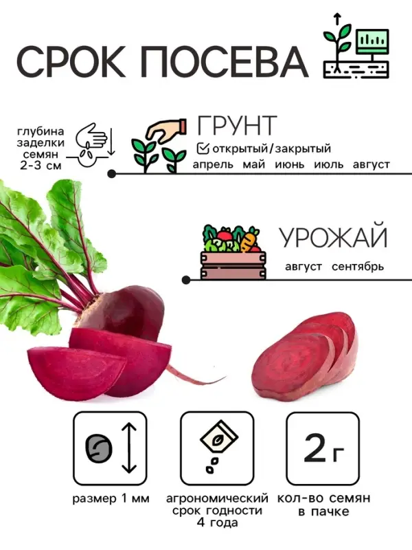 Семена Свекла &laquo;Египетская плоская&raquo;, 2 г