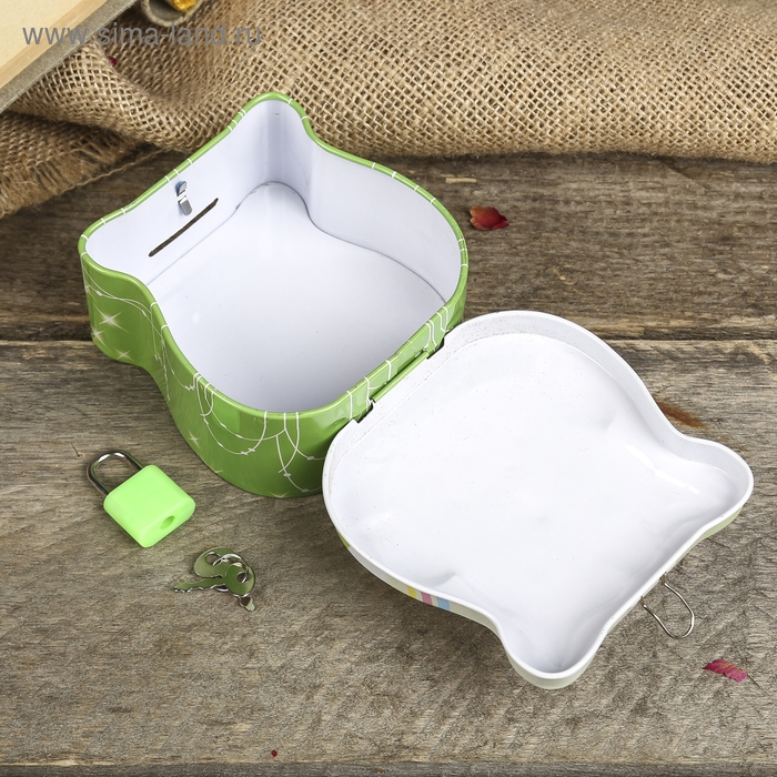 Копилка для денег с замком и ключом &laquo;Маленький совёныш&raquo;, метал, 8.5&times;9&times;4.5 см, МИКС