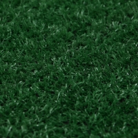 Газон искусственный, ворс 10 мм, 2 &times; 5 м, зелёный, Greengo