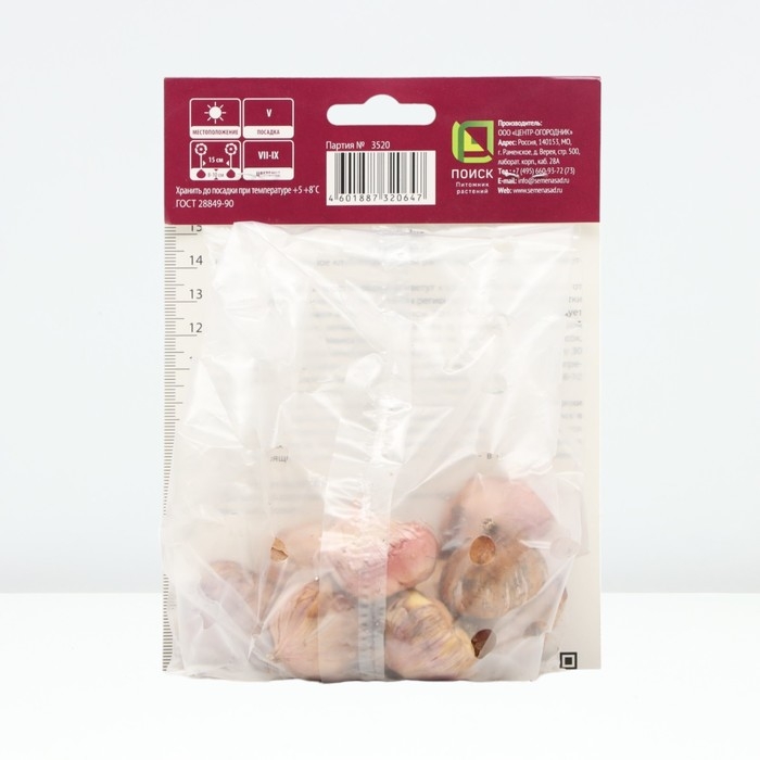 Гладиолус крупноцветковый &laquo;Багги&raquo;, луковица цветов в пакете с перфорацией, р-р 10/12, 10 шт.