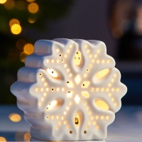 Светодиодная фигура "Снежинка" 9х4.4х8.8, 1 LED, LR44x3(в компл.), Т/БЕЛЫЙ