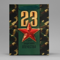 Пакет подарочный ламинированный вертикальный, упаковка, &laquo;С 23 февраля&raquo;, MS 18 х 23 х 10 см