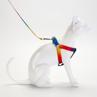 Комплект "Радуга", капрон, поводок 120 х 1,5 см, ОГ 24-34 см, разноцветный