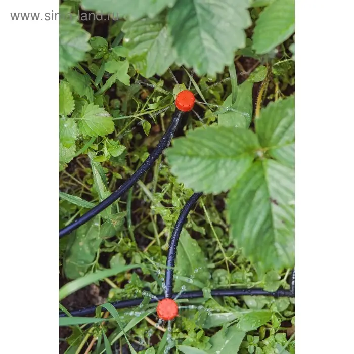 Форсунка - ороситель разбрызгивающая для капельного полива, d=5 мм, пластик, с пикой, Greengo