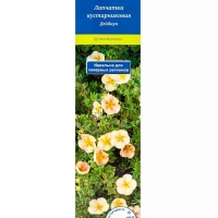 Лапчатка кустарниковая (Серия Северный сад) "Дейдаун" 1 шт, туба, Весна 2025