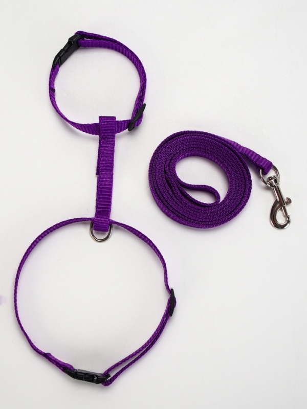 Комплект для кошек, ширина 1 см, ОШ 16,5-27 см, ОГ 21-35 см, поводок 120 см, фиолетовый
