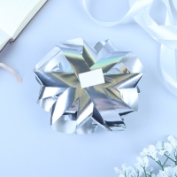 Бант-звезда № 14, серебристый, металлик Бант-звезда № 14, серебристый, металлик