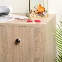 Ручка-кнопка ТУНДРА, d=30 мм, цвет матовый никель