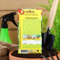 Семена огурца "Детки на ветке", F1, 10 шт.