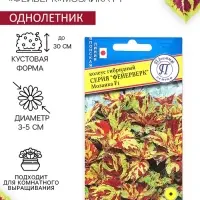 Семена цветов Колеус "Фейерверк" Мозаика F1, О, 10 шт