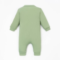 Комбинезон Крошка Я, BASIC LINE, рост 62-68 см, цвет зелёный Комбинезон Крошка Я, BASIC LINE, рост 62-68 см, цвет зелёный