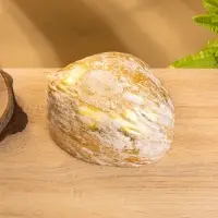 Чаша из кокоса, 18&times;18&times;10 см, бежево-золотая