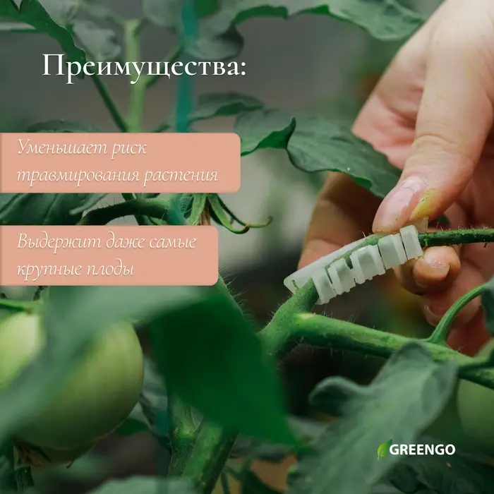Кистедержатель &laquo;Улитка&raquo;, 4 см, набор 50 шт., Greengo