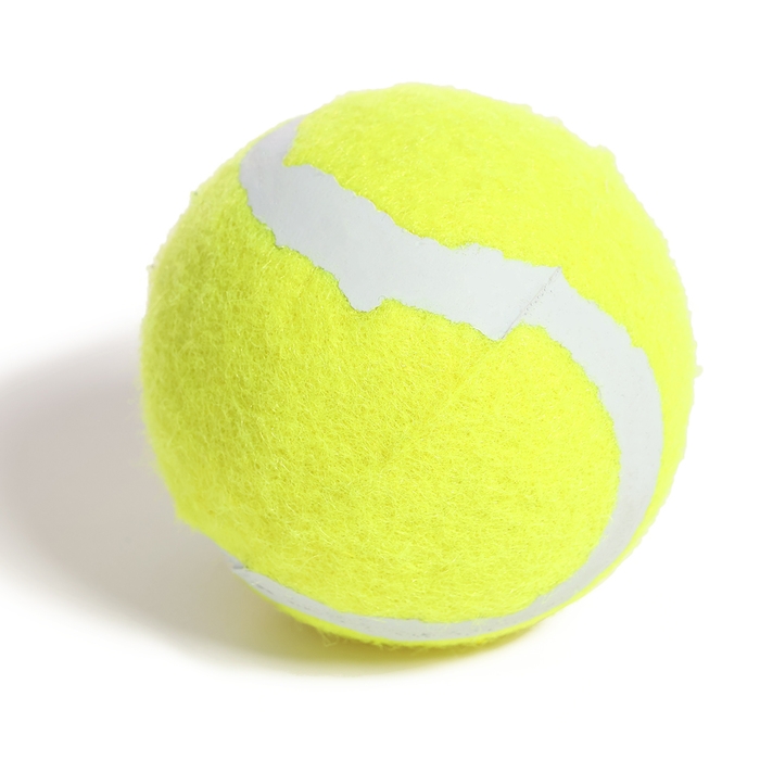 Игра &laquo;Бросатель&raquo;, 2 шт., с мячом, МИКС