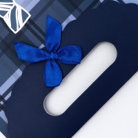 Подарочная коробка-пакет, упаковка с вырубной ручкой, "Мужской галстук" , 19 х 9 х 27 см Подарочная коробка-пакет, упаковка с вырубной ручкой, "Мужской галстук" , 19 х 9 х 27 см