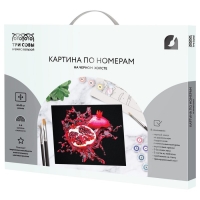 Картина по номерам &laquo;Сочный гранат&raquo;, 40 &times; 50 см, на черном холсте
