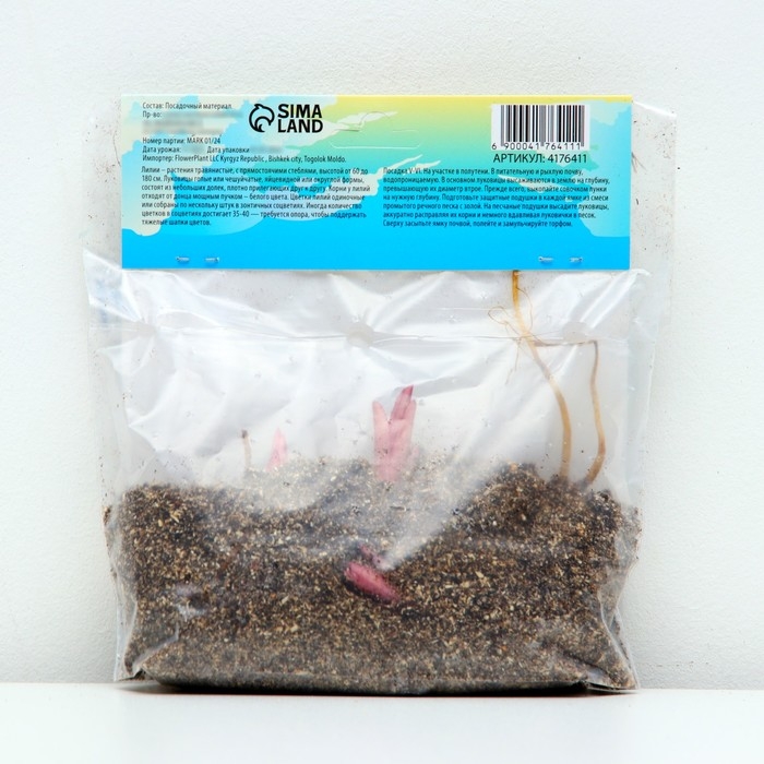 Лилия Восточная Лилия Восточная "Диззи", р-р 12/14, 3 шт,