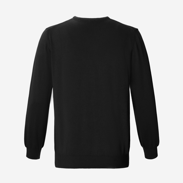 Джемпер мужской, цвет чёрный, размер 50 (XL) Джемпер мужской, цвет чёрный, размер 50 (XL)