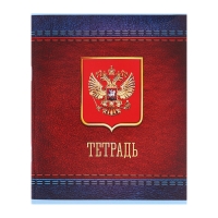 Комплект тетрадей из 5 штук (4 разные + 1 повторяющаяся), 48 листов в клетку Calligrata "Россия", обложка мелованная бумага, блок №2, белизна 75% (серые листы)