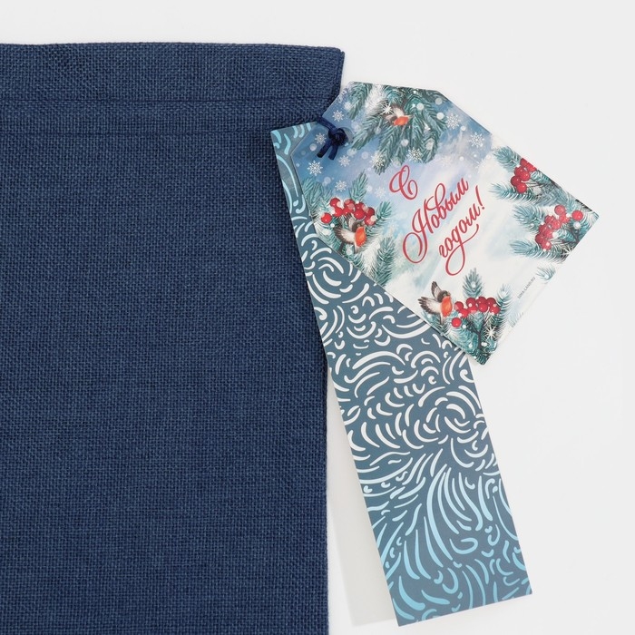 Мешок подарочный &laquo;Вьюга&raquo;, 20 х 30 см +/- 1.5 см, Новый год