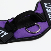 Шлейка К9 мягкая светоотражающая, размер S, ОГ 45-55 см, вес 5-12,5 кг, фиолетовая Шлейка К9 мягкая светоотражающая, размер S, ОГ 45-55 см, вес 5-12,5 кг, фиолетовая