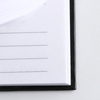 Ежедневник в твердой обложке А5, 80 &laquo;Душнила&raquo;