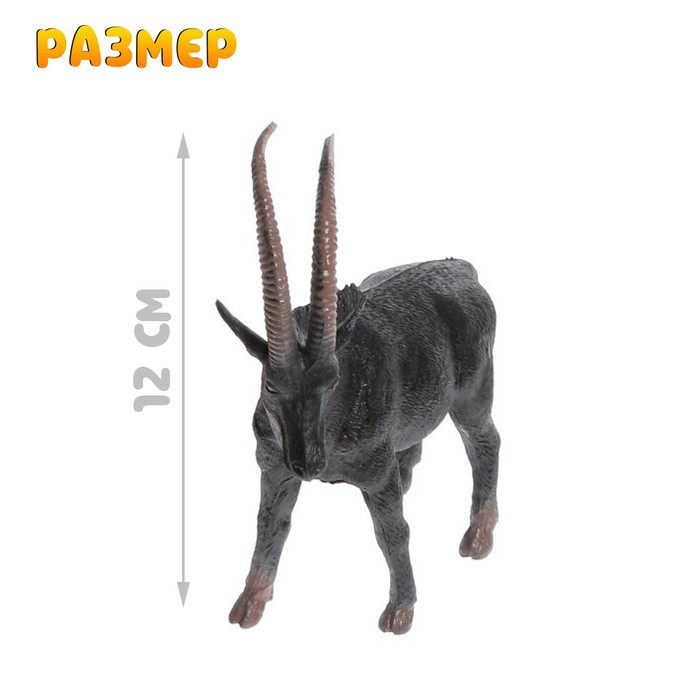 Набор животных &laquo;Лесные звери&raquo;, 6 фигурок