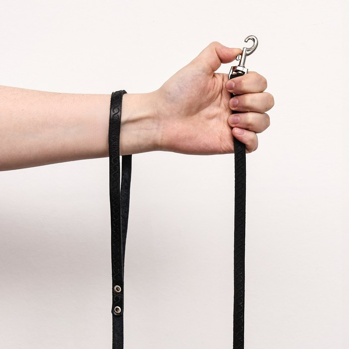 Поводок кожаный однослойный длинный, 1.9 м х 1 см, микс Поводок кожаный однослойный длинный, 1.9 м х 1 см, микс