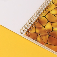 Фотоальбом на спирали 20 листов "Моё zoloto" объёмный элемент + 4 вкладки 24х24 см Фотоальбом на спирали 20 листов "Моё zoloto" объёмный элемент + 4 вкладки 24х24 см