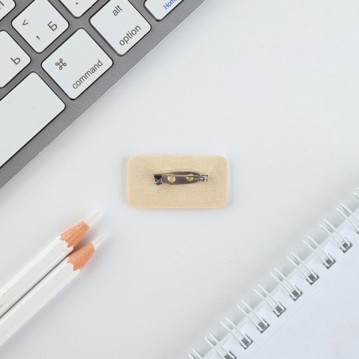 Брелок для ключей, значок, сувенир &laquo;Любимой подружке&raquo;, набор, 6,8 х 10,5 см.