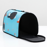 Сумка - переноска для животных "Путешественник", голубая, размер M, 40 х 21 х 27 см Сумка - переноска для животных "Путешественник", голубая, размер M, 40 х 21 х 27 см