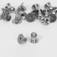 Кобурный винт d = 5/6 × 8 мм, 10 шт, цвет серебряный Кобурный винт d = 5/6 × 8 мм, 10 шт, цвет серебряный