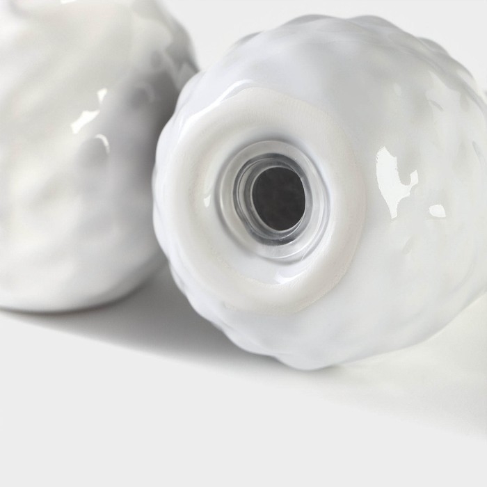 Набор для специй Доляна &laquo;Ананас&raquo;, 2 предмета: солонка 70 мл, перечница 70 мл, цвет белый