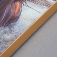 Картина акрил настольная "Хафлингер" 25х20 см Картина акрил настольная "Хафлингер" 25х20 см