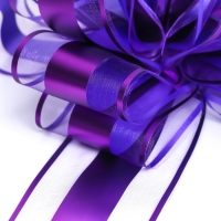 Бант-шар №6.5