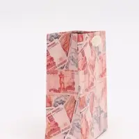 Пакет подарочный &laquo;Деньги&raquo;, S 12 &times; 15 &times; 5,5 см