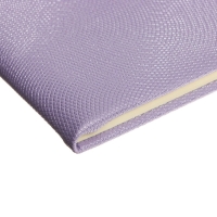 Дневник универсальный для 1-11 класса Bird, твёрдая обложка, искусственная кожа, с поролоном, тиснение фольгой, ляссе, 80 г/м2