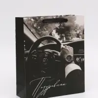 Пакет подарочный &laquo;Поздравляю&raquo;, M 25,5 &times; 30 &times; 9 см