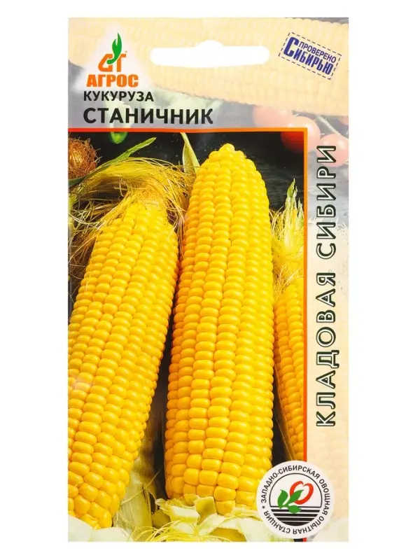 Семена Кукуруза "Станичник" 2 г