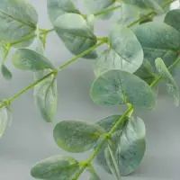 Цветы искусственные &laquo;Эвкалипт шёлковый&raquo;, h=80 см, зелёные